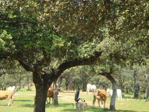 Agroturismo San Jos�
