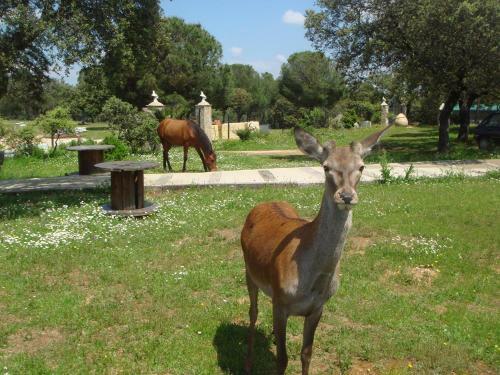 Agroturismo San Jos�