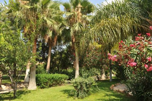 Villa De Michanna