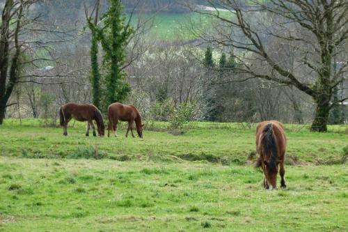 Agroturismo Hospeder�a Santa Cruz