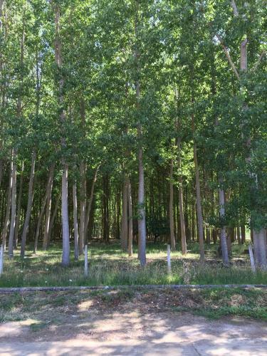 Agroturismo Casas Victor