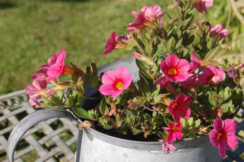 Bed & Breakfast La Chaiserie