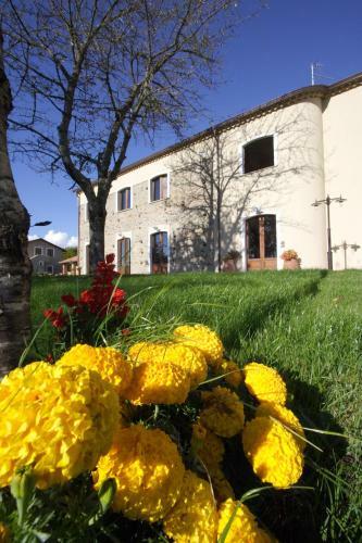 Hostal La Rosa Nel Bicchiere