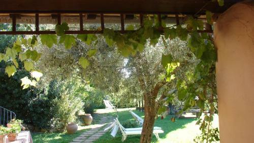Hostal Agriturismo Terra Sabina