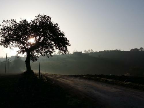 Agroturismo B&B Dolcedimora