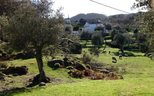 Refugio Da Maceira