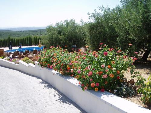 Agroturismo Viviendas Turistica La Acacia
