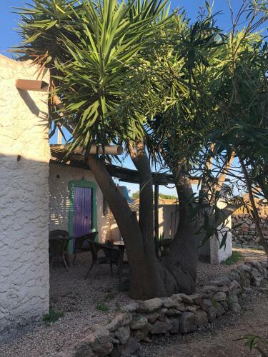 Hostal I Dammusi Blu & Green