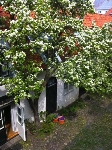 Apartamento Dahmskahuset