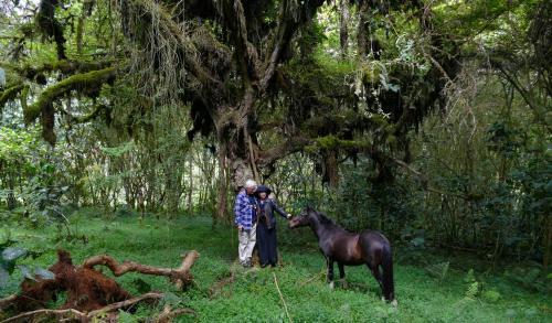 Posada El Refugio De Intag Cloud Forest Retreat