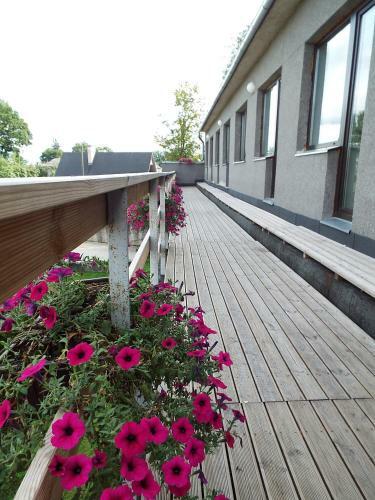 Tamme Hostel