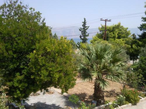 Hostal Elea