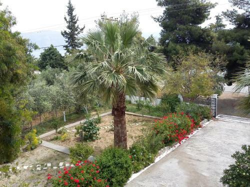 Hostal Elea