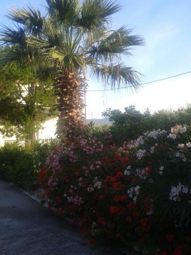 Hostal Elea
