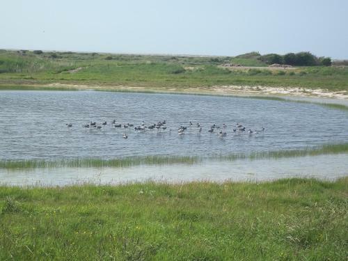 Camping Les Galets De La Molliere