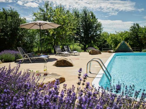 Agroturismo Vid�ki H�z