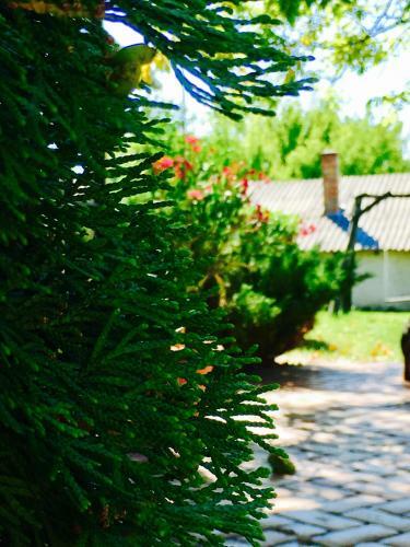 Agroturismo Vid�ki H�z