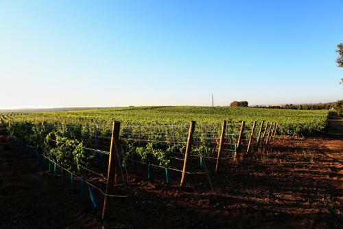 Agroturismo Herdade Da Calada
