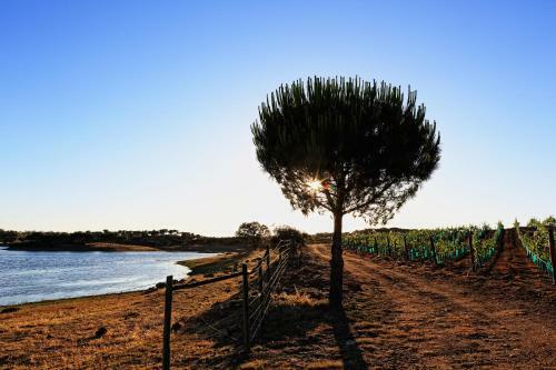 Agroturismo Herdade Da Calada