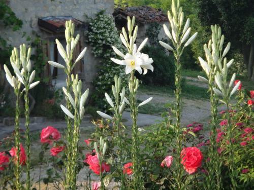 Agroturismo Monte Bibele