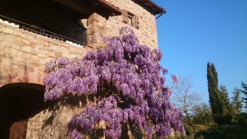 Agroturismo Monte Bibele