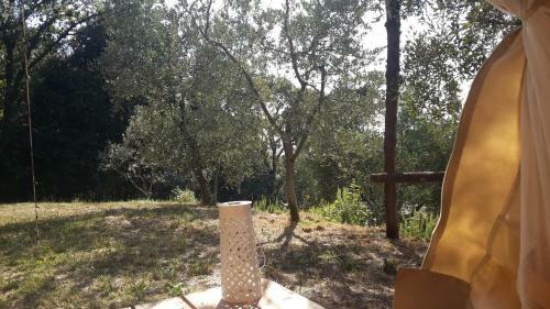 Agricamping La Gallinella