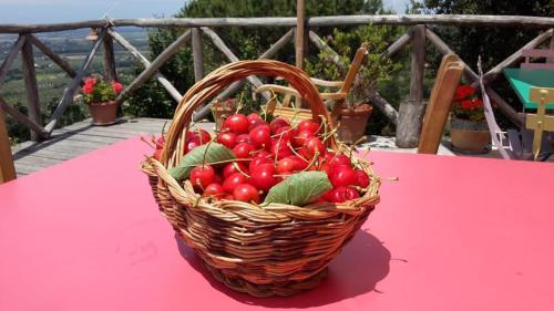 Agricamping La Gallinella