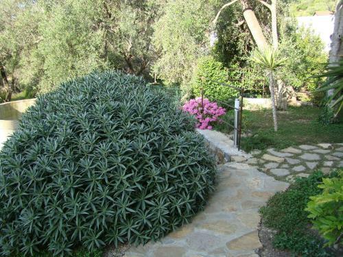 Apartamento I Valloni
