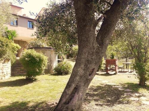 Apartamento I Valloni