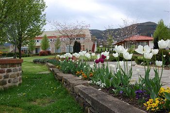 Agroturismo Amalurra