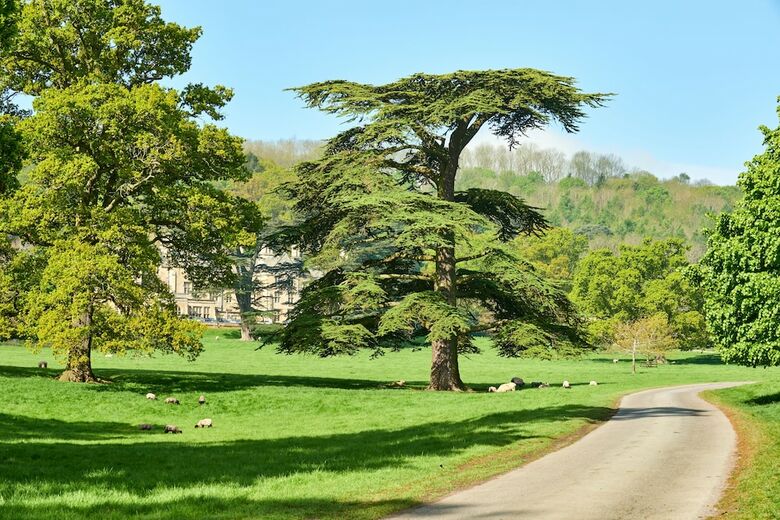 Agroturismo Dumbleton Hall Hotel