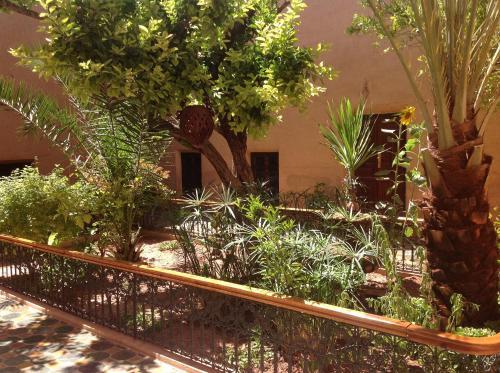 Riad Timadrouine