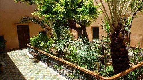 Riad Timadrouine