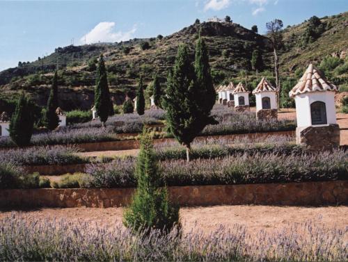 Agroturismo Apartamentos Rurales San Juan