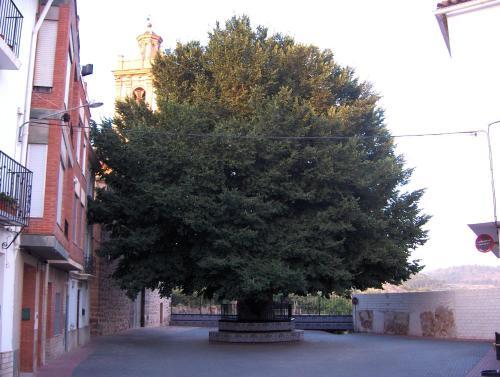 Agroturismo Apartamentos Rurales San Juan