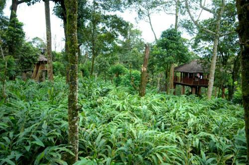 Hotel Thekkady Carmelia Haven Resort