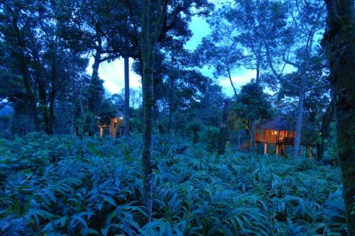 Hotel Thekkady Carmelia Haven Resort
