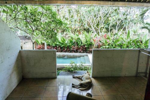 Hostal Balangan Inn