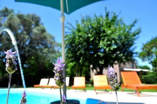 Agroturismo Los Olivos Loft