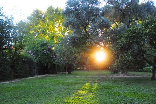 Agroturismo Los Olivos Loft