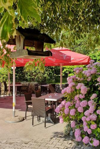 Hostal Guest House Kuralt