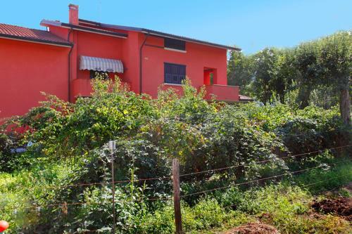 Agroturismo Pericle