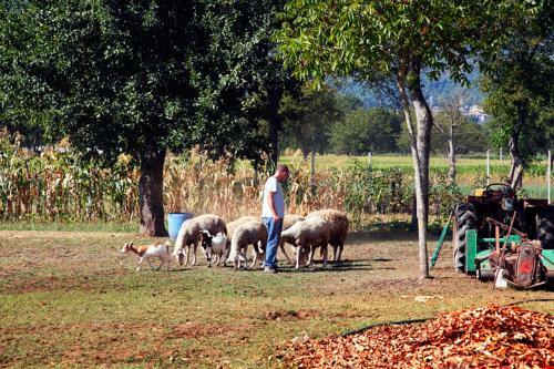 Agroturismo Pericle