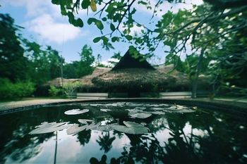Hotel The Marari Beach Resort