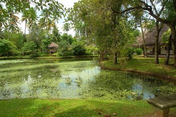 Hotel The Marari Beach Resort