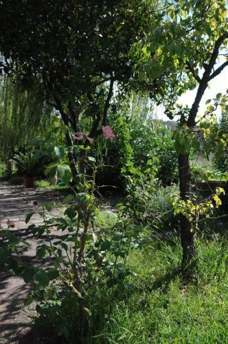 B&B Casa Vacanze Marcella