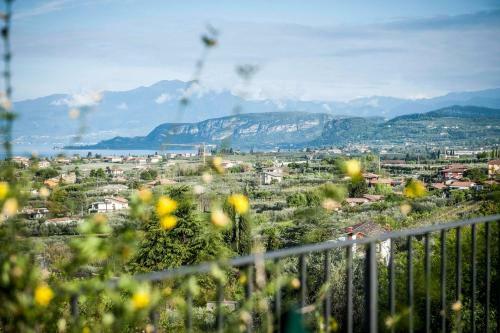 Agroturismo Agriturismo Il Grappolo