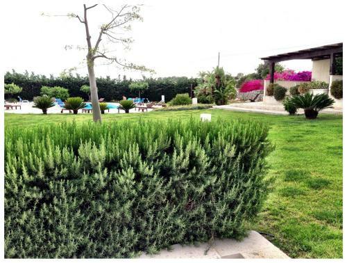 Agroturismo Torre Dantona - Country Hotel