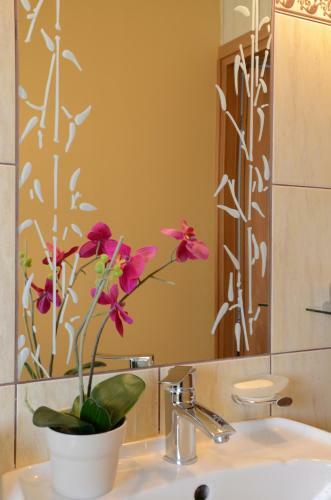 Hostel Tolek