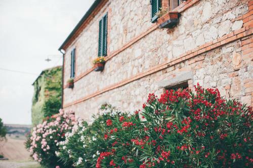 Agroturismo Agriturismo Il Rigo